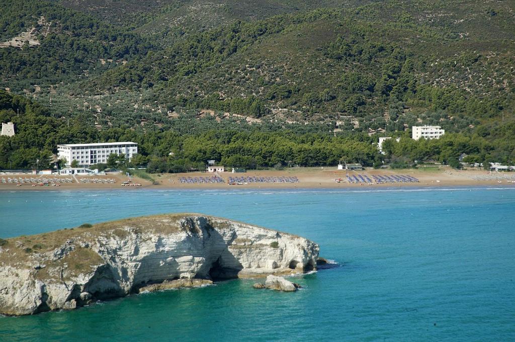 Hotel Portonuovo Vieste Værelse billede